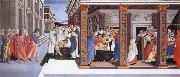 Sandro Botticelli incidents in the life of Saint Zenobius oil painting artist